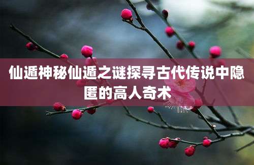 仙遁神秘仙遁之谜探寻古代传说中隐匿的高人奇术