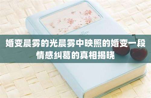 婚变晨雾的光晨雾中映照的婚变一段情感纠葛的真相揭晓