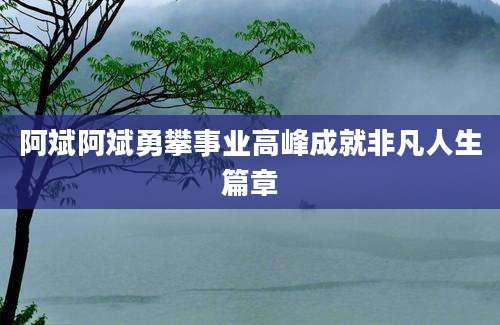 阿斌阿斌勇攀事业高峰成就非凡人生篇章