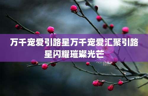 万千宠爱引路星万千宠爱汇聚引路星闪耀璀璨光芒