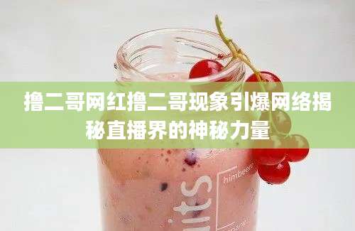 撸二哥网红撸二哥现象引爆网络揭秘直播界的神秘力量