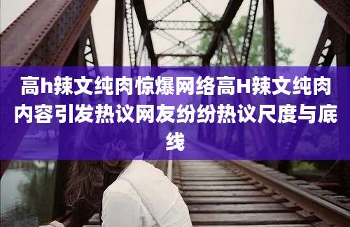 高h辣文纯肉惊爆网络高H辣文纯肉内容引发热议网友纷纷热议尺度与底线