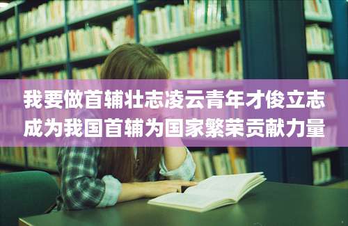 我要做首辅壮志凌云青年才俊立志成为我国首辅为国家繁荣贡献力量