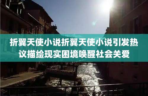 折翼天使小说折翼天使小说引发热议描绘现实困境唤醒社会关爱