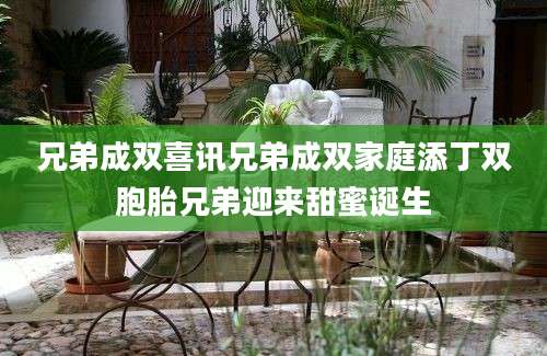 兄弟成双喜讯兄弟成双家庭添丁双胞胎兄弟迎来甜蜜诞生
