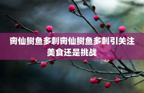 脔仙鲥鱼多刺脔仙鲥鱼多刺引关注美食还是挑战