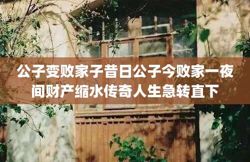 公子变败家子昔日公子今败家一夜间财产缩水传奇人生急转直下