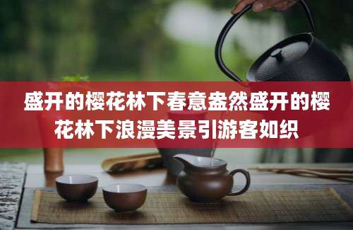 盛开的樱花林下春意盎然盛开的樱花林下浪漫美景引游客如织