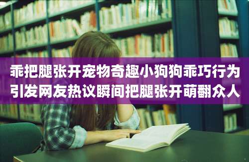 乖把腿张开宠物奇趣小狗狗乖巧行为引发网友热议瞬间把腿张开萌翻众人