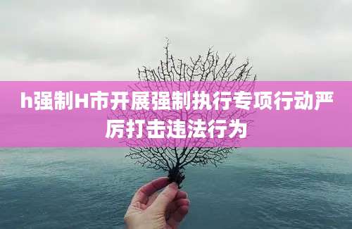 h强制H市开展强制执行专项行动严厉打击违法行为