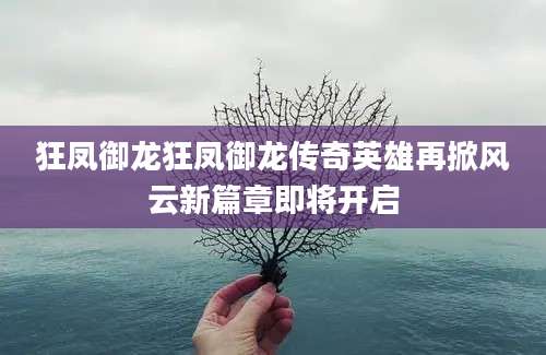狂凤御龙狂凤御龙传奇英雄再掀风云新篇章即将开启