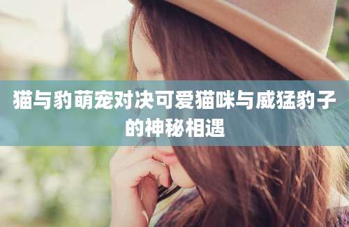 猫与豹萌宠对决可爱猫咪与威猛豹子的神秘相遇