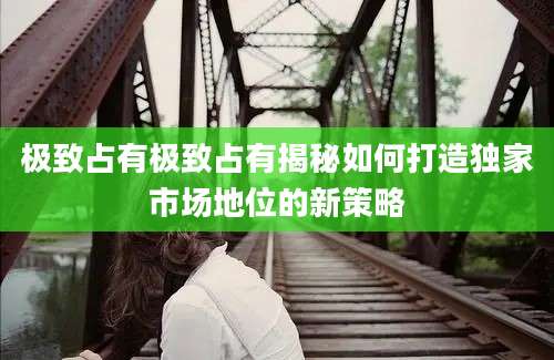 极致占有极致占有揭秘如何打造独家市场地位的新策略
