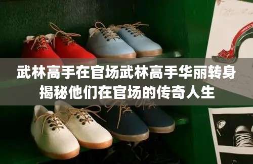 武林高手在官场武林高手华丽转身揭秘他们在官场的传奇人生