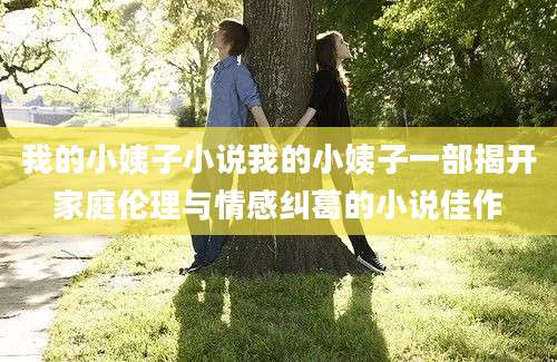 我的小姨子小说我的小姨子一部揭开家庭伦理与情感纠葛的小说佳作