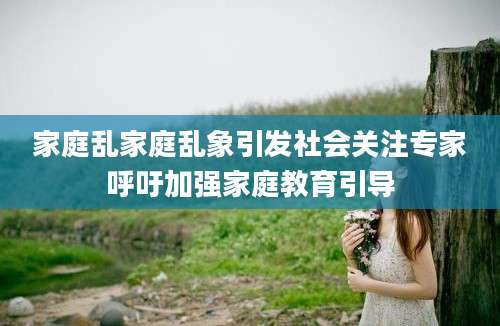 家庭乱家庭乱象引发社会关注专家呼吁加强家庭教育引导
