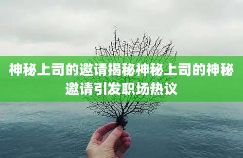 神秘上司的邀请揭秘神秘上司的神秘邀请引发职场热议