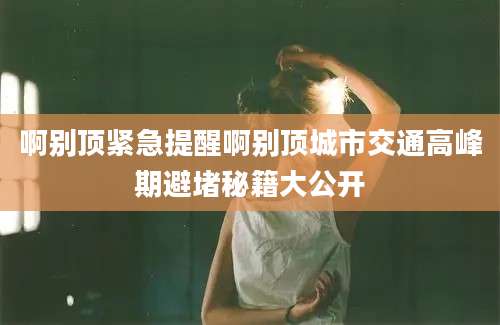 啊别顶紧急提醒啊别顶城市交通高峰期避堵秘籍大公开