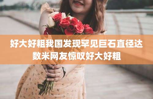 好大好粗我国发现罕见巨石直径达数米网友惊叹好大好粗