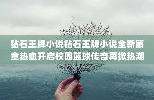 钻石王牌小说钻石王牌小说全新篇章热血开启校园篮球传奇再掀热潮