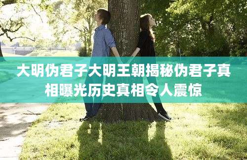 大明伪君子大明王朝揭秘伪君子真相曝光历史真相令人震惊