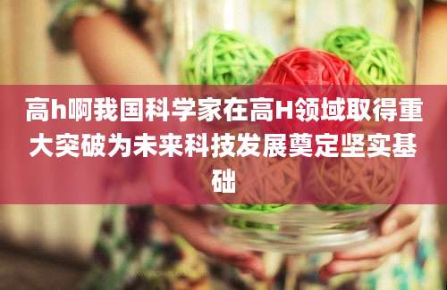 高h啊我国科学家在高H领域取得重大突破为未来科技发展奠定坚实基础