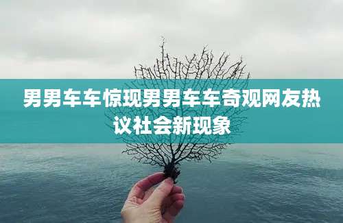 男男车车惊现男男车车奇观网友热议社会新现象