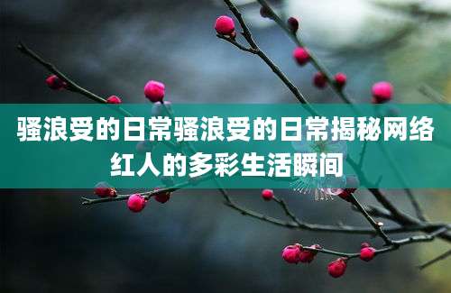 骚浪受的日常骚浪受的日常揭秘网络红人的多彩生活瞬间