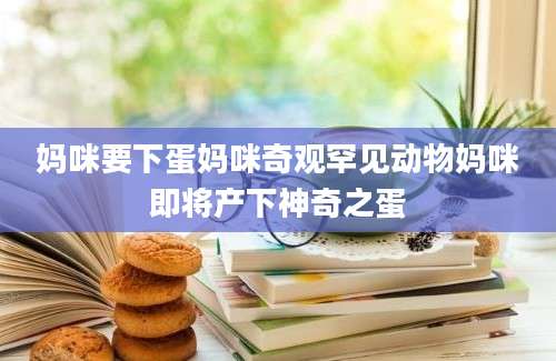 妈咪要下蛋妈咪奇观罕见动物妈咪即将产下神奇之蛋