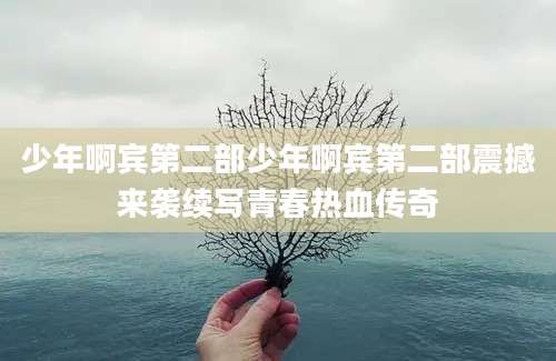 少年啊宾第二部少年啊宾第二部震撼来袭续写青春热血传奇