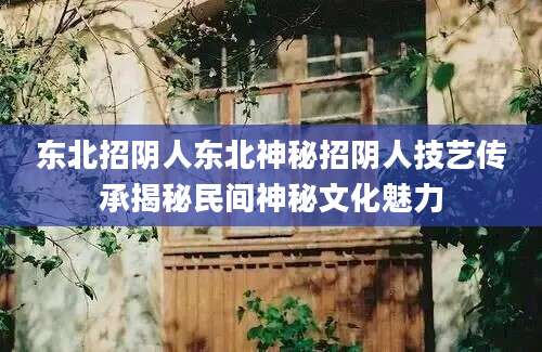 东北招阴人东北神秘招阴人技艺传承揭秘民间神秘文化魅力