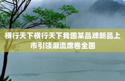 横行天下横行天下我国某品牌新品上市引领潮流席卷全国