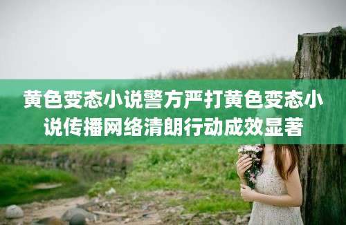 黄色变态小说警方严打黄色变态小说传播网络清朗行动成效显著