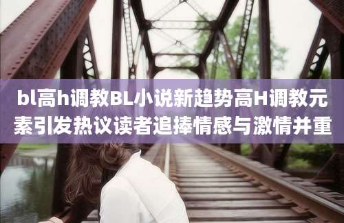 bl高h调教BL小说新趋势高H调教元素引发热议读者追捧情感与激情并重