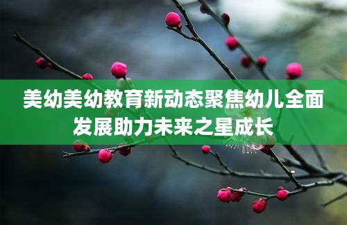 美幼美幼教育新动态聚焦幼儿全面发展助力未来之星成长