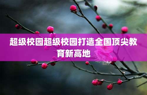 超级校园超级校园打造全国顶尖教育新高地