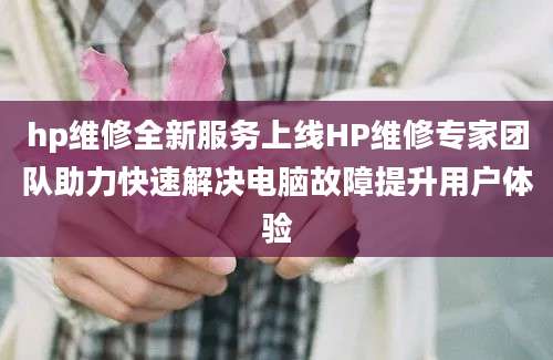 hp维修全新服务上线HP维修专家团队助力快速解决电脑故障提升用户体验