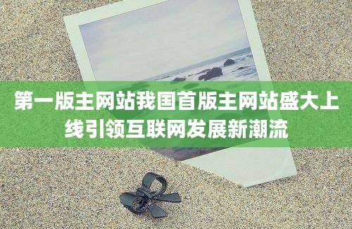 第一版主网站我国首版主网站盛大上线引领互联网发展新潮流