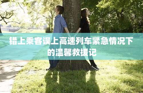 错上乘客误上高速列车紧急情况下的温馨救援记