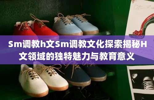Sm调教h文Sm调教文化探索揭秘H文领域的独特魅力与教育意义