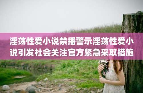 淫荡性爱小说禁播警示淫荡性爱小说引发社会关注官方紧急采取措施