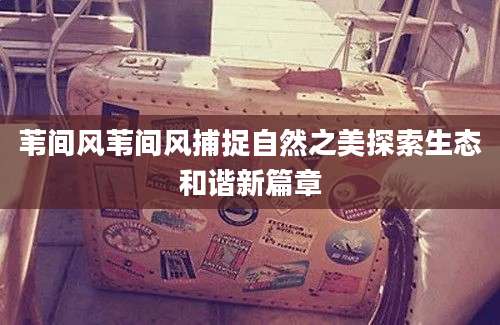 苇间风苇间风捕捉自然之美探索生态和谐新篇章