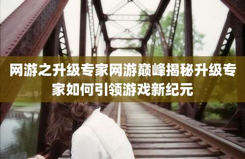 网游之升级专家网游巅峰揭秘升级专家如何引领游戏新纪元