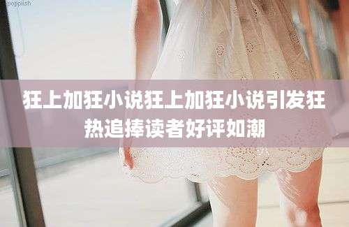 狂上加狂小说狂上加狂小说引发狂热追捧读者好评如潮