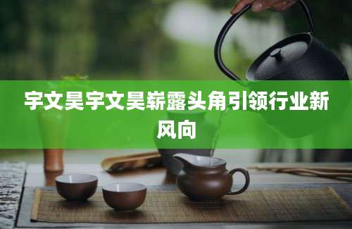 宇文昊宇文昊崭露头角引领行业新风向