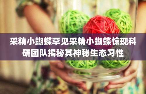 采精小蝴蝶罕见采精小蝴蝶惊现科研团队揭秘其神秘生态习性