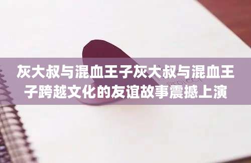 灰大叔与混血王子灰大叔与混血王子跨越文化的友谊故事震撼上演