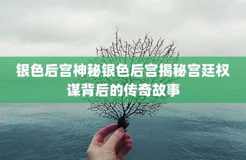 银色后宫神秘银色后宫揭秘宫廷权谋背后的传奇故事