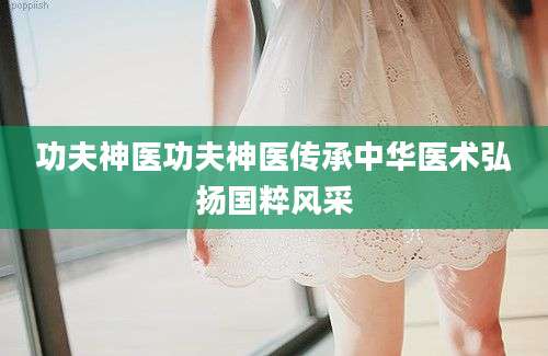 功夫神医功夫神医传承中华医术弘扬国粹风采