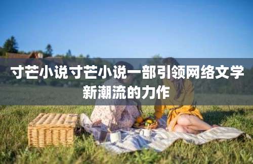 寸芒小说寸芒小说一部引领网络文学新潮流的力作